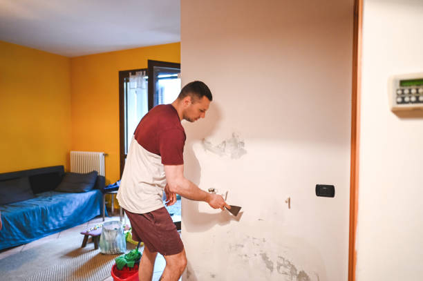 Best Certified Mold Removal  in Holly Hill, FL